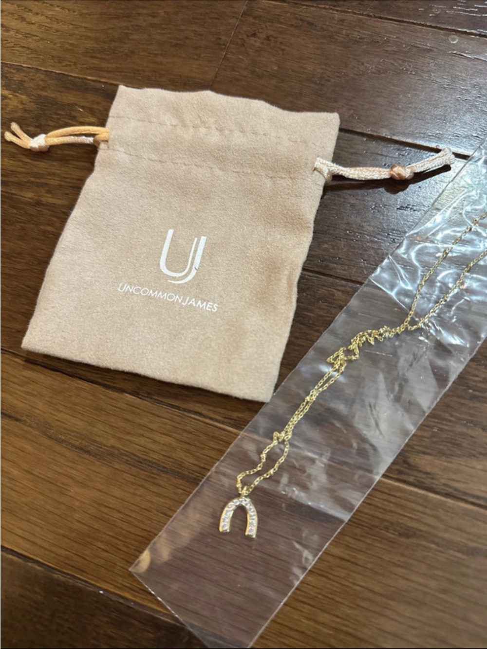 Uncommon James horse shoe necklace
